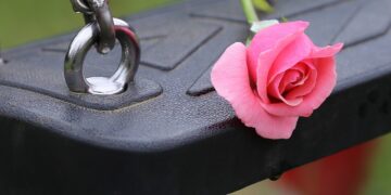 swing with pink rose