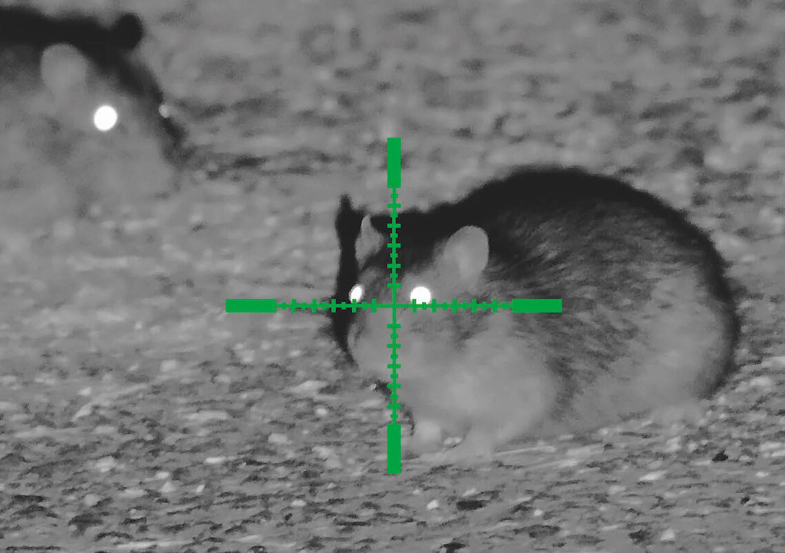 The WraithÃ¢ÂÂs sharp image quality enabled Mat to achieve very precise pellet placement when the rats ventured out.