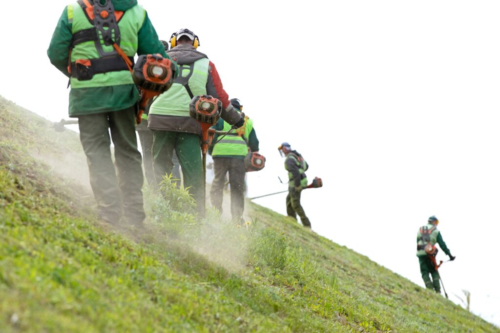 A group of professional landscapers with handheld mowing equipment form a line on a steep hill to cut the grass.