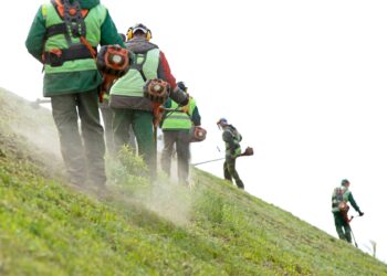 A group of professional landscapers with handheld mowing equipment form a line on a steep hill to cut the grass.