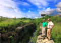 Erie Canal Lock 50