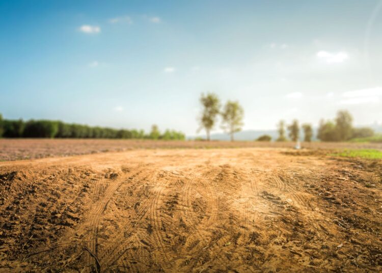 An empty, dry, cracked piece of land marked with tire tracks, possibly for farming, construction, or future development.