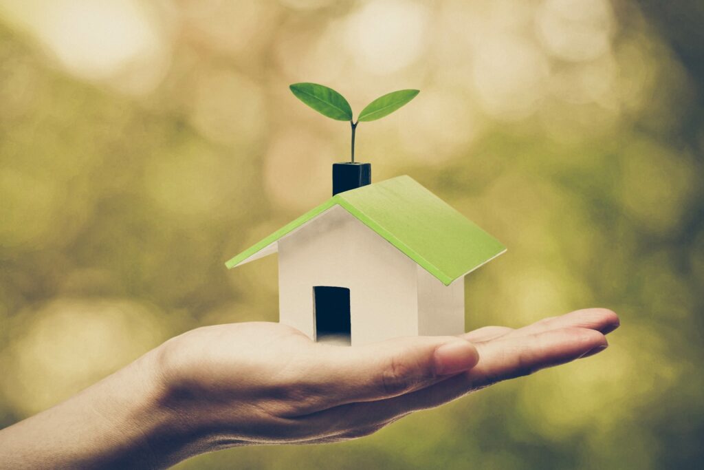 A person's hand is holding a miniature wooden house with a green roof and a budding plant on top against a green background.