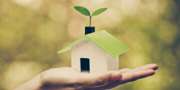A person's hand is holding a miniature wooden house with a green roof and a budding plant on top against a green background.