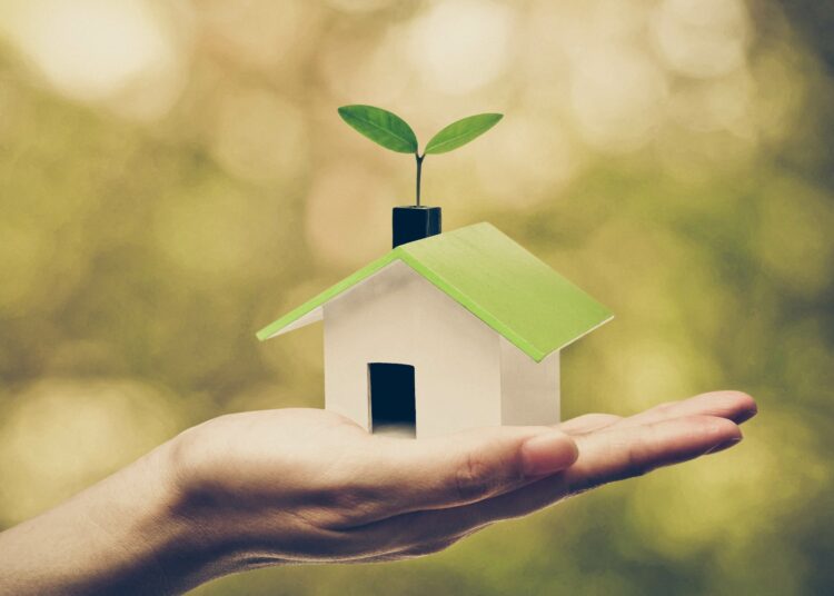 A person's hand is holding a miniature wooden house with a green roof and a budding plant on top against a green background.