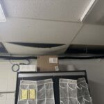 Dog shelter condtions