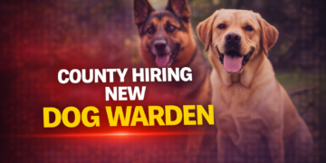 County Hiring New Dog Warden
