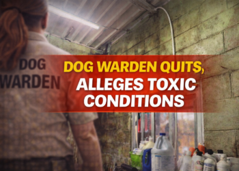 Dog Warden Resigns