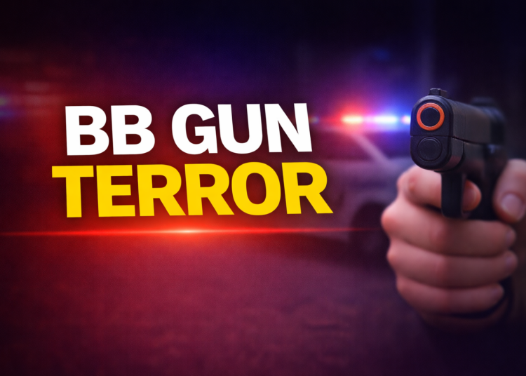 bb gun terror