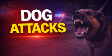 Dog Attacks