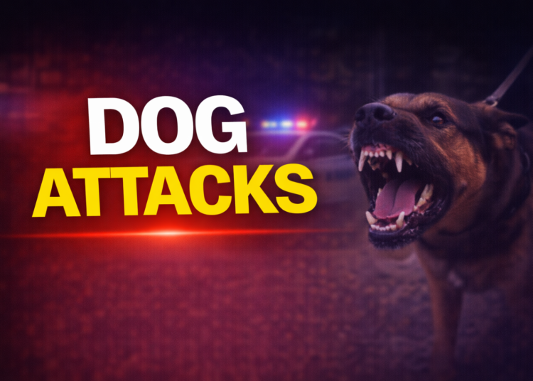 Dog Attacks