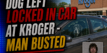 Dog left locked in car at Kroger