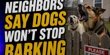 Dogs wont stop barking