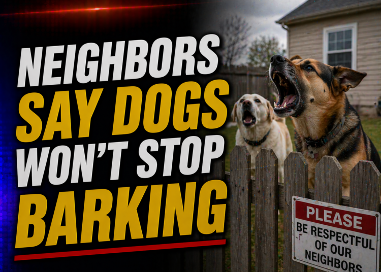 Dogs wont stop barking