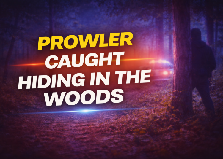 prowler caught hiding in the woods