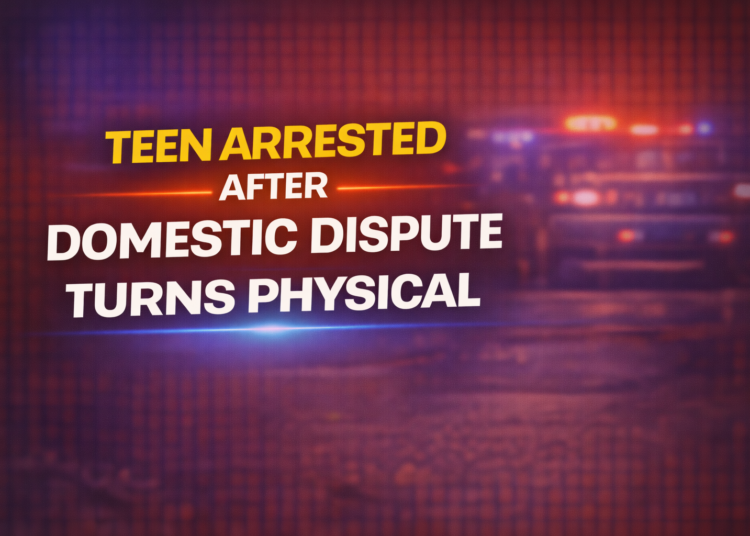 teen arrested after domestic dispute