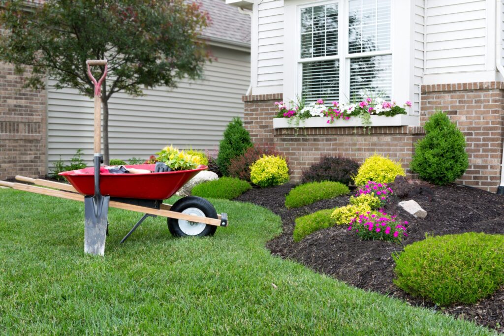 A red wheel-barrow and a shovel sit next to freshly landscaped garden boxes in the front of a house.