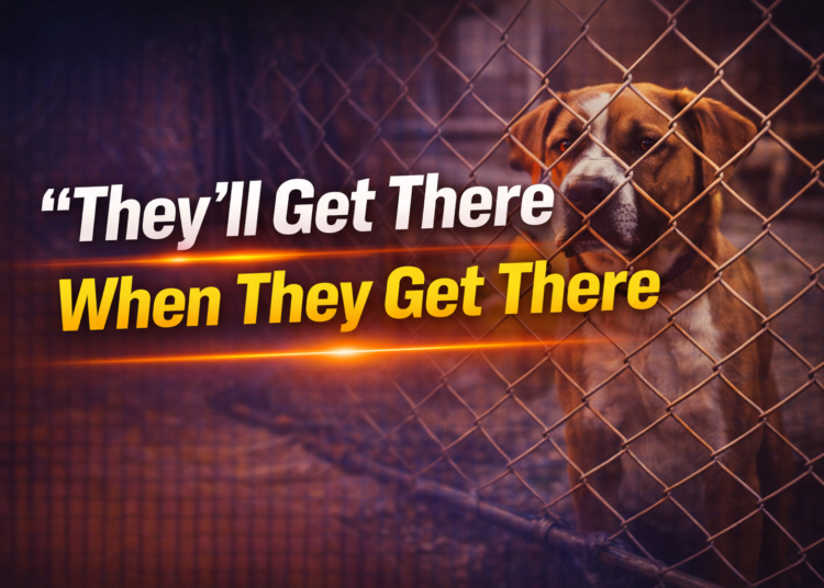 They will get there when they get there