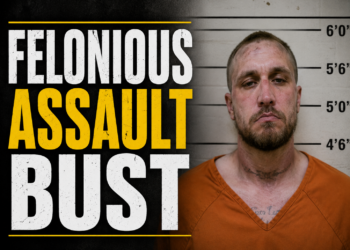 felonious assault bust
