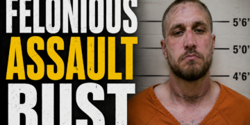 felonious assault bust