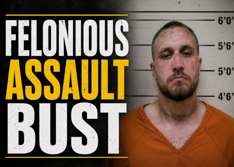 felonious assault bust