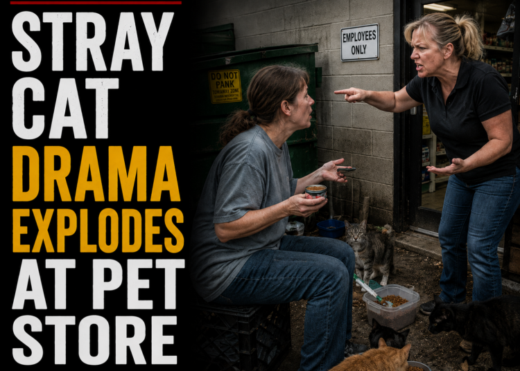 stray cat drama at pet store