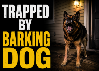 Trapped by barking dog