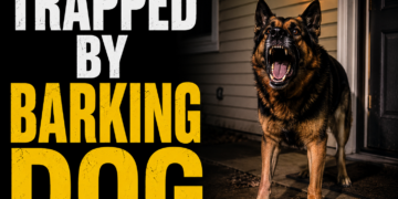 Trapped by barking dog
