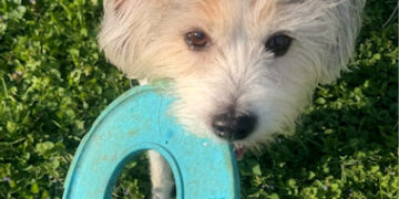 Capo Conley Fur Baby