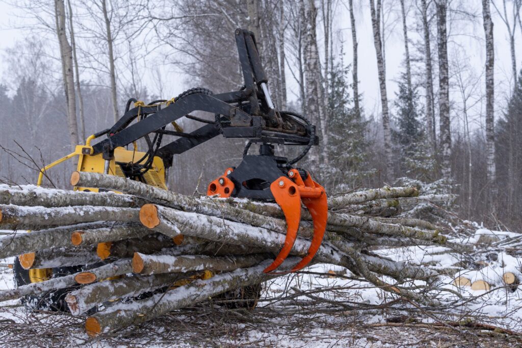 A skid steer with an orange grapple lifting stacked logs in a snowy forest clearing surrounded by bare winter trees.