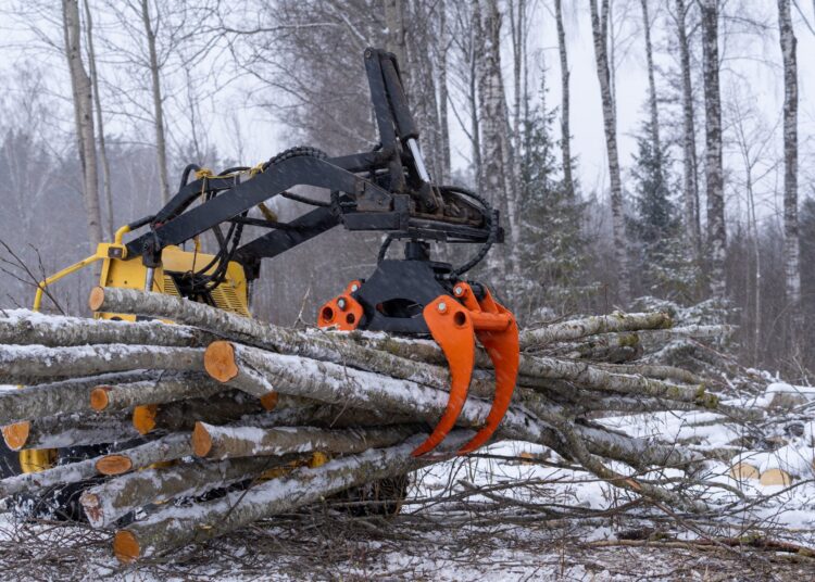 A skid steer with an orange grapple lifting stacked logs in a snowy forest clearing surrounded by bare winter trees.