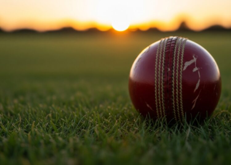 American Cricket