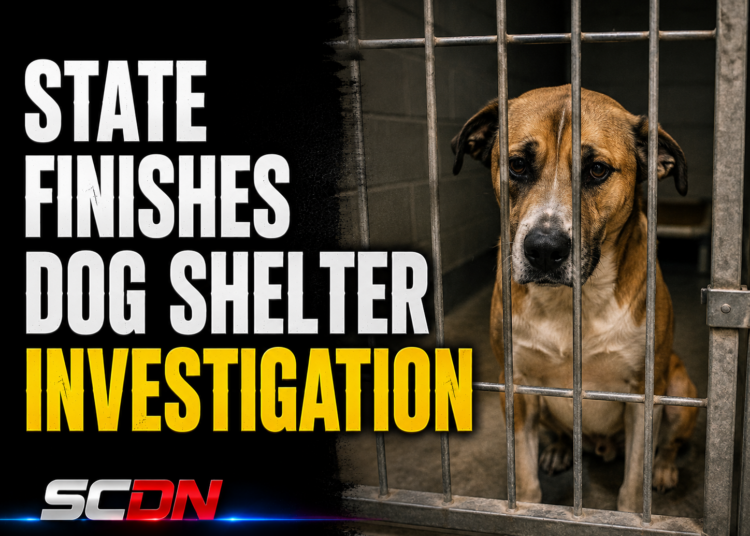 Dog shelter investigaton