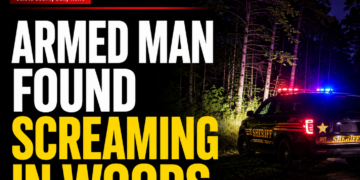 screams in the woods