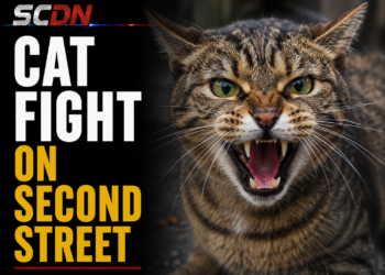 Cat fight on second Street