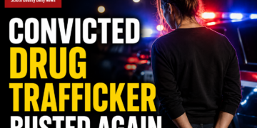 drug trafficker arrested again