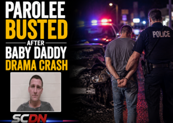 parolee busted