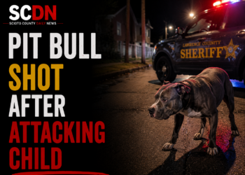 Pit bull attack