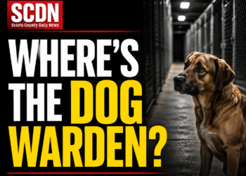 Where is the dog warden