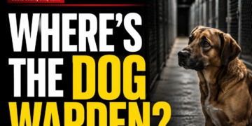 Where is the dog warden