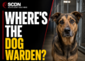 where's the dog warden