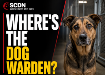 where's the dog warden