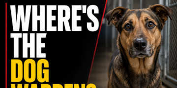 where's the dog warden