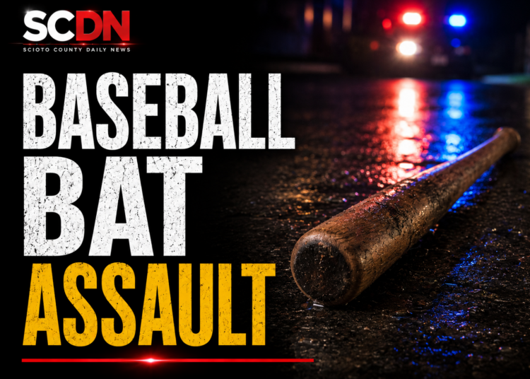Baseball Bat Assault