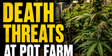 death threats at pot farm