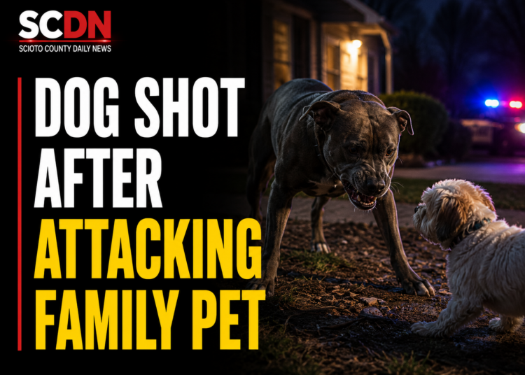 dog shot after attacking family pet