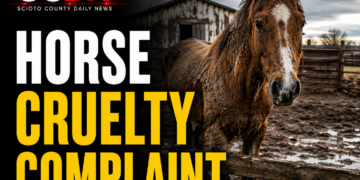 horse cruelty
