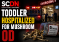toddler hospitalized