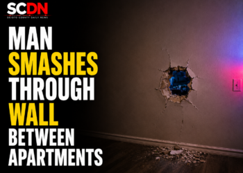 neighbor breaks through wall