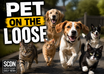 Pets on the loose
